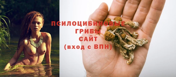 ПСИЛОЦИБИНОВЫЕ ГРИБЫ Краснослободск