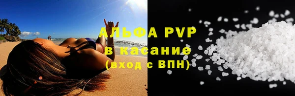 ПСИЛОЦИБИНОВЫЕ ГРИБЫ Краснослободск