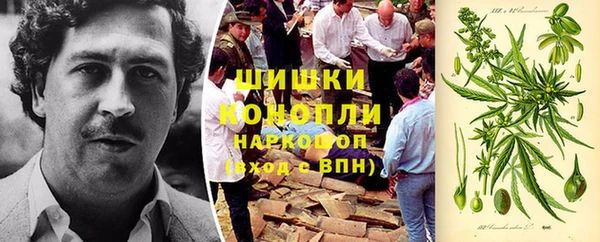ПСИЛОЦИБИНОВЫЕ ГРИБЫ Краснослободск