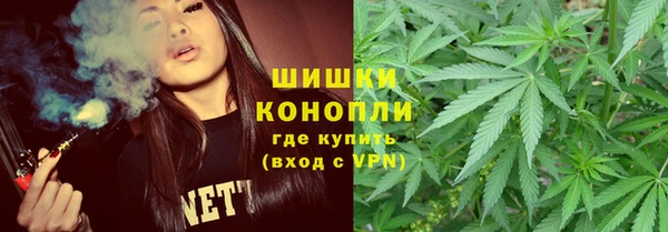 ПСИЛОЦИБИНОВЫЕ ГРИБЫ Краснослободск